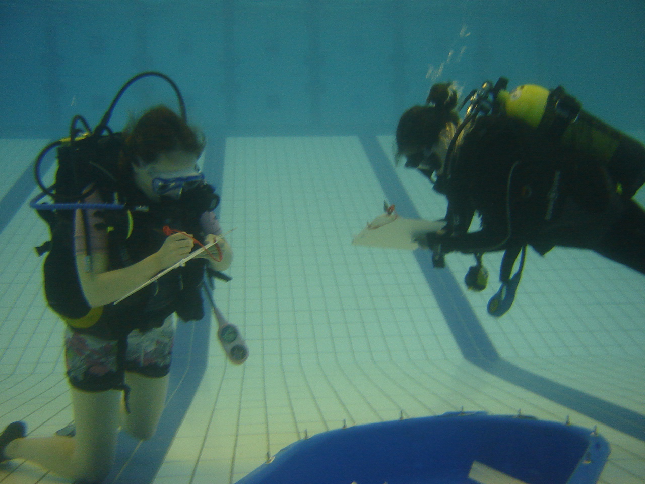 Students Learning to Survey & Record Underwater